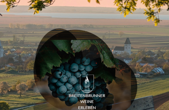 Breitenbrunn Traube Breitenbrunn Traube